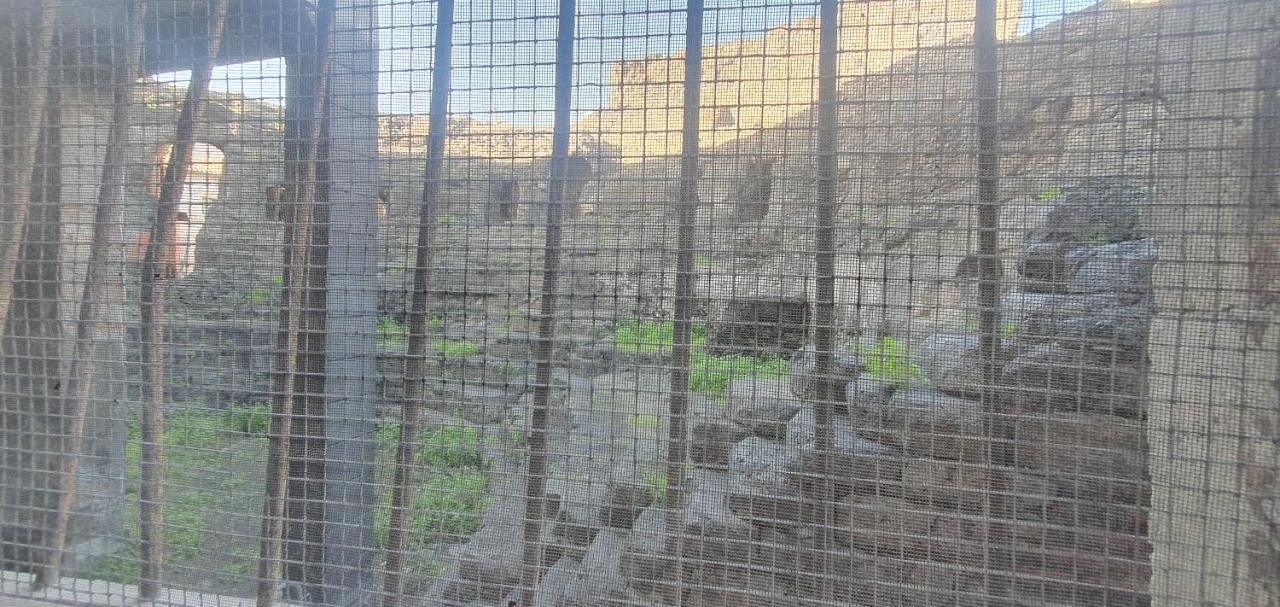 Апартаменти Domus Odeon La Casa Nel Parco Archeologico Di Катанія Екстер'єр фото